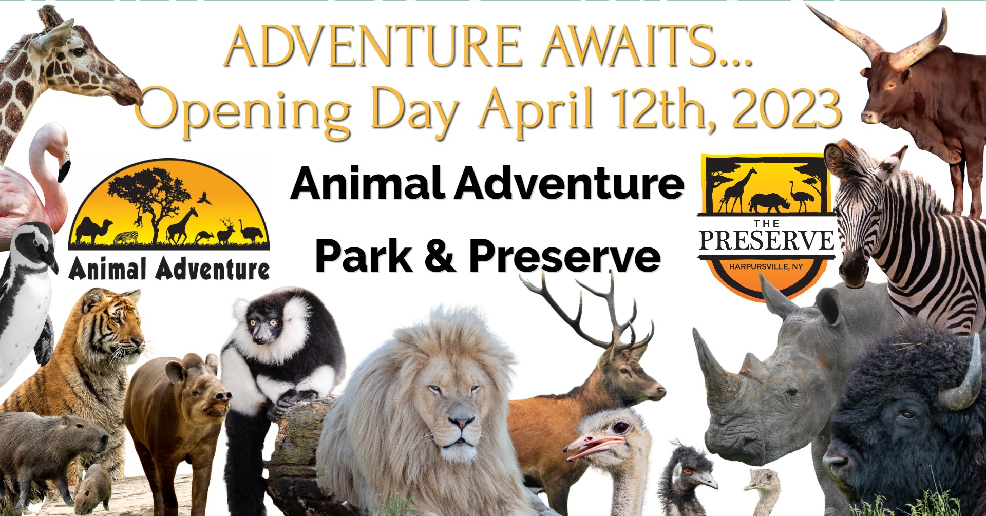 Animal Adventure Park